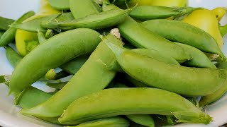 How to grow Peas at home - from seed to harvest