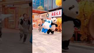 #funnyvideos #funny #funnyanimals #comedyvideo #comdy #lucu #fy #fypシ #foryou #xuhuo