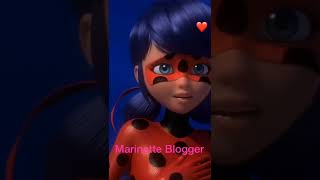 Miraculous ladybug 🐞 new catnior CatWalker