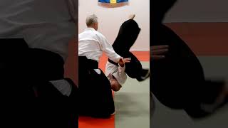 Aikido in slow motion: KOKYU NAGE, by Stefan Stenudd