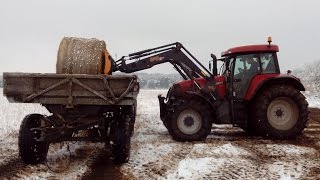 Stroh fahren mit Case CVX 150 und HW80 ( 2x )