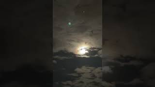 What comes out After Dark | Blood Moon #shorts #fullmoon #night #dark #bloodmoon