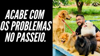 Como ensinar o cachorro NÃO PUXAR no passeio... Dica SIMPLES E OBJETIVA.