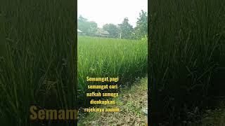 JUM'AT BERKAH REJEKI BERLIMPAH AAMIN