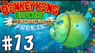 Donkey Kong Country: Tropical Freeze - Episode 13 [Blobvis]