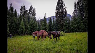 Packing Into The Absaroka-Beartooth Wilderness, Gallatin N.F. 2018 Day 1