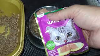 CAT FOOD AND WET FOOD | CAT FEEDING | DADA EN FREINDS |