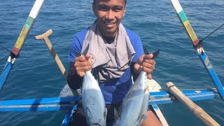 Catching tulingan tuna