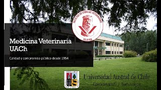 Medicina Veterinaria - Universidad Austral de Chile, Valdivia 2021