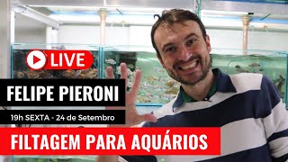 Tudo Sobre Filtro de Aquário | Filtro Interno, Filtro Hang On, Sump e Filtro Canister