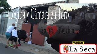 Cogida al alcalde de La Seca, y 1º Toro con Cámara de la HISTORIA!!!