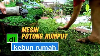 mesin potong rumput ala ala