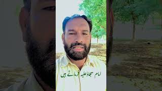 امام سجاد علیہ فرماتے ہیں || سچ کو جھوٹ سمجھا جائے گا ||Haq Bool Murtaza Ameeni