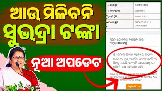 Subhadra Yojana New Update || ଜମା ଏହି ଭୁଲ କରନ୍ତୁନି ମିଳିବନି ଟଙ୍କା❌ଆସିଲା ନୂଆ ଅପଡେଟ🔥