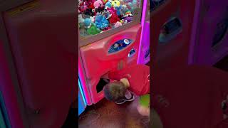 Arcade #clawmachine #win #arcade