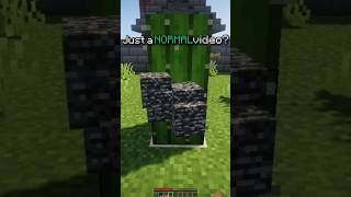 Minecraft meme