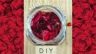 DIY Óleo de Rosas - simples, barato e funcional