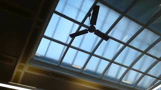 Vintage and newer Xpliear Whispair ceiling fans at a library, Malvern