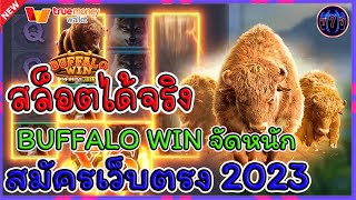 สล็อตได้จริง สมัครเว็บตรง - BUFFALO WIN จัดหนัก