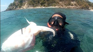 Nembak ikan di laut aceh | memanah ikan monster