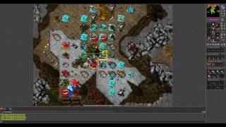 [Tibia] Random frag 250 RP