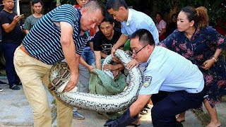 這條蛇怎麼了？直擊眾人搶救巨蟒全程|What happened to this snake? Hit the crowds to save the giants