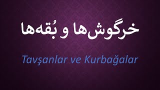 Tavşanlar ve Kurbağalar   /   خرگوش¬ها و بُقه¬ها