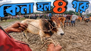 আমরাইদ হাট থেকে খামারের জন্য গরু কিনলাম || Purbasha Agro