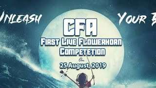 CFA competion Details On Live