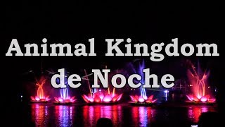 Animal Kingdom por las noches | Orlando 2018 #10