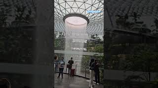 The reason why Singapore airport is beautiful 😍 #Jewel Changi #travel #shorts