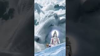 Mera Malik Hai #hmbolenathkebagathaimerejan #mahadevstatus #mahakaleshwar #mahadev