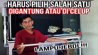 Lampu Celup Kemasukan Air ! || Kok bisa? Lampu Aquarium Lebih baik di celup atau Di gantung.