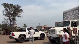 Volando el quetzal en barberena santa rosa Guatemala 🇬🇹