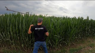 Crop scouting and beating the odds