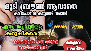 മാസത്തിൽ ഒരു തവണ ചെയ്താൽ ഒരിക്കിലും നരക്കൂല്ല/henna hair care /poppy vlogs/malayalam