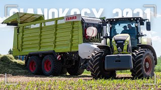 ☆ Zbiór Traw w Barwach Claas'a !✔ Agro-Zork ☆ Claas Axion 870 & Cargos 8500 ☆ [PwO Team] ☆