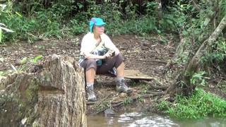 Cambodia Elephant Experiences