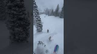 Decent Cliff Hit at Snowbird #skiing #cliff