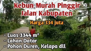 Dijual Kebun Strategis Pinggir Jalan Kabupaten Dekat Pantai Anyer dan Bukit Waruwangi