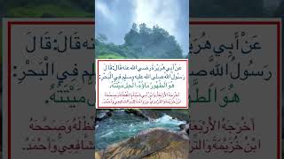 من أقوال الرسول صلى الله عليه وسلم ‏⁧‫#السنة_النبوية #أخرجه_الأربعة #أخرجه_ابن_شيبة #أخرجه_الترمذي