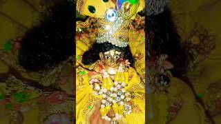 लगन तुमसे लगा बैठे?🙏🏻🙏🏻 #laddugopal #radhakrishna #myfirstvlog