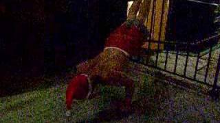 Zanta doing HARD PUSH UPS!!!!!