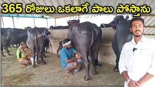 సబ్సిడీ లోన్ వచ్చింది PMEGP dairy farm subsidy loan @MalleshAdla