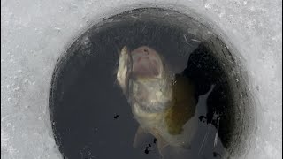 Catching bass through the ice fishing