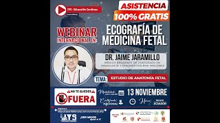 DIA 2 - Webinar Internacional en Ecografía de Medicina Fetal