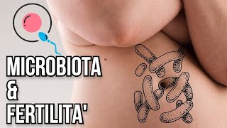 MICROBIOTA E FERTILITÀ: cose da sapere