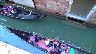 Volare sung by a gondolier in Venice, Italy