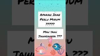 Apakah ikan perlu minum?? Mau tahu jawabannya? #trivia #viral #viralvideo #lucu #lucu_ngakak #ngakak