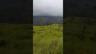 Beautiful Green Mountain #shorts #forests #mountains